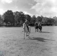 Harrogate, The Stray